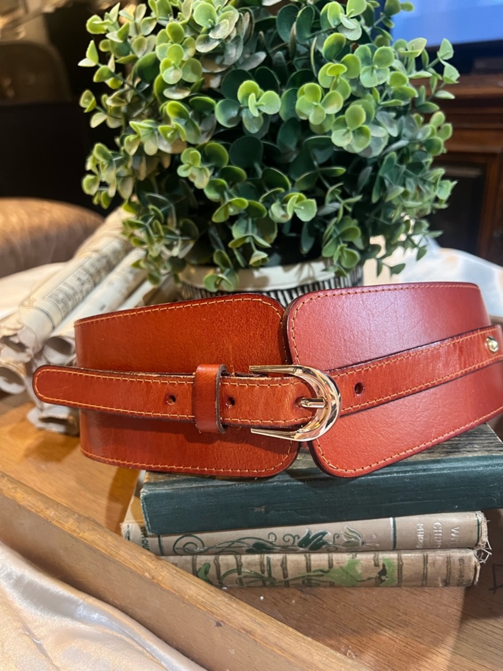 Corset-style Women's Wide Waist Belt with Gold Buckle